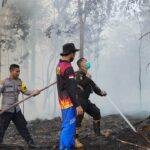 Api Lahap Lahan Warga di Jalur Trans Kalimantan Sanggau