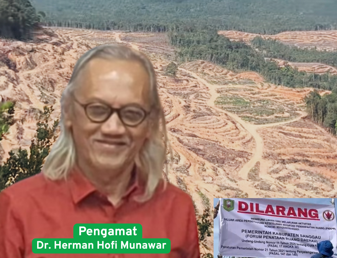 Pengamat_20260126_204310_0000