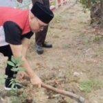 Ketua DPRD Sanggau Dorong Gerakan Satu Orang Satu Pohon