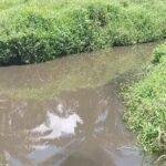 Limbah Pabrik PT Gelobal Kalimantan Makmur Diduga Cemari Sungai Setogor Sekayam