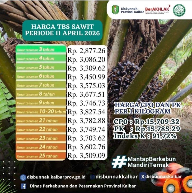 PTPN IV Disorot, Selisih Harga Sawit Lebih dari Rp600 per Kilogram Dinilai Merugikan Petani