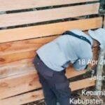 Arena Judi Sabung Ayam di Semitau Akhirnya Dibongkar Polisi