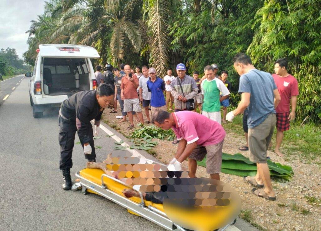 Tabrak Lari di Parindu! Pejalan Kaki Tewas, Pelaku Masih Misterius