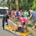 Tabrak Lari di Parindu! Pejalan Kaki Tewas, Pelaku Masih Misterius