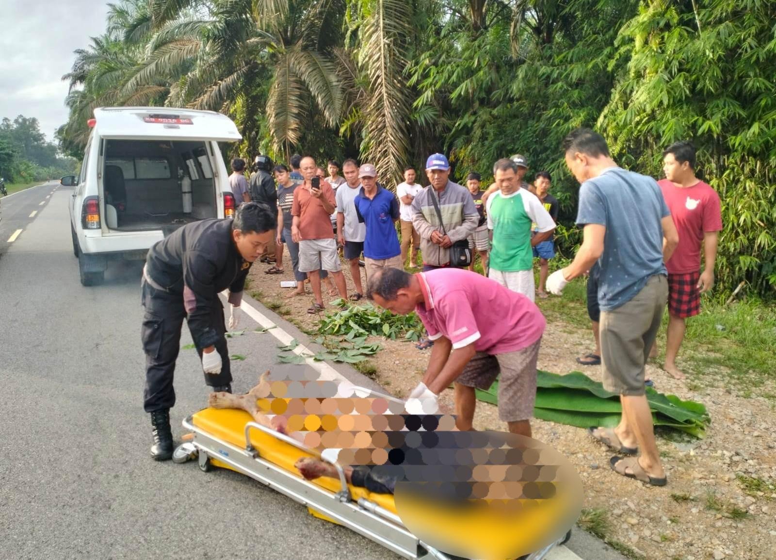 Tabrak Lari di Parindu! Pejalan Kaki Tewas, Pelaku Masih Misterius