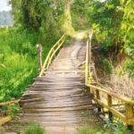Jembatan di Desa Inggis, Sanggau Nyaris Roboh, Warga Waswas Setiap Melintas