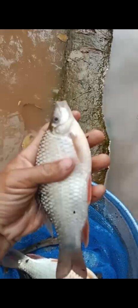 Warga Desak Pemerintah Turun! Dugaan Pencemaran Sungai Oleh PT MKS