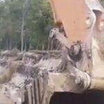Alam Batang Tarang Dirusak Aktivitas PETI Masif, Kapolsek Bungkam Saat Dikonfirmasi