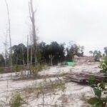 Diduga PETI Kembali Beraksi di Semoncol, Alam Terancam Rusak