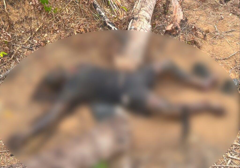 Polisi Periksa Penemuan Jenazah Pria 53 Tahun di Ladang Sekitar PT GKM