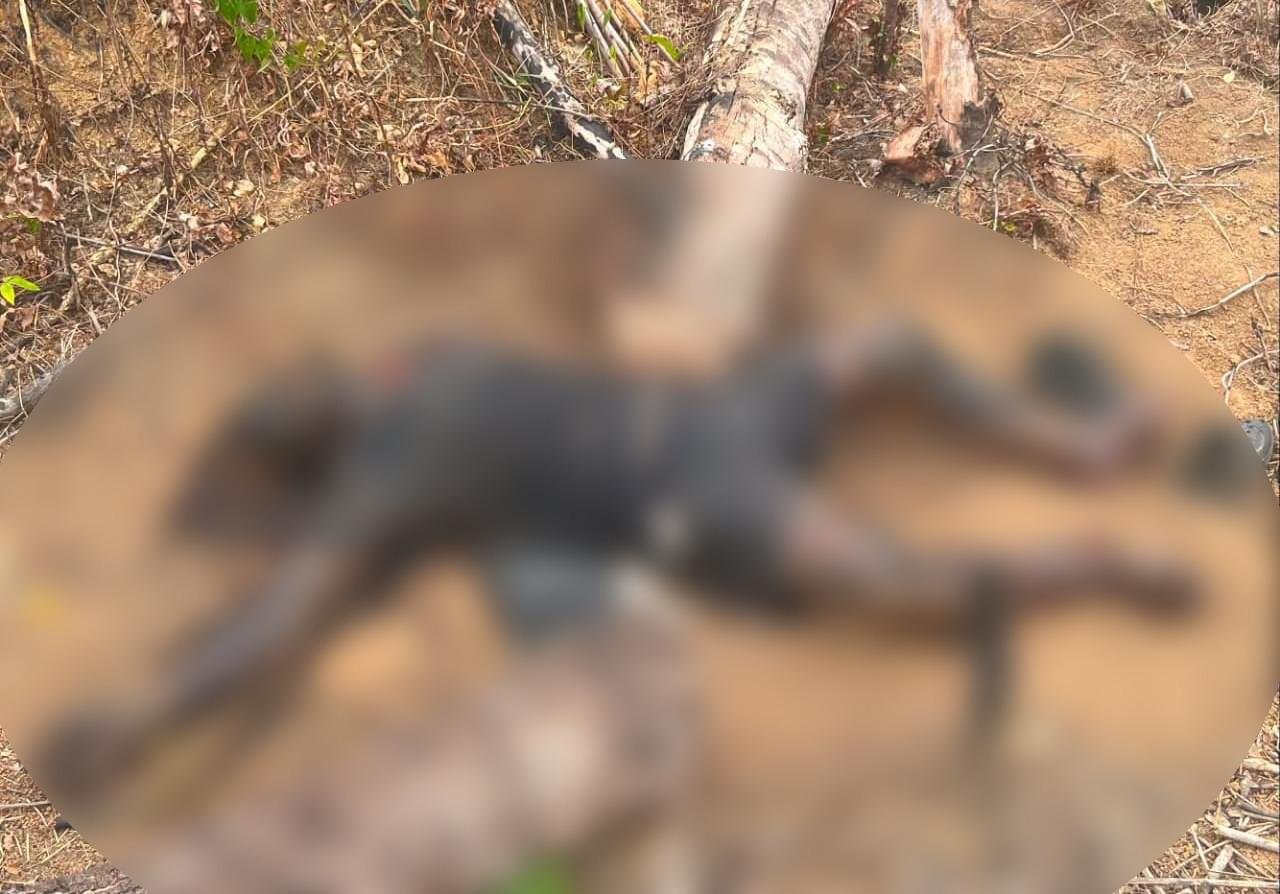 Polisi Periksa Penemuan Jenazah Pria 53 Tahun di Ladang Sekitar PT GKM