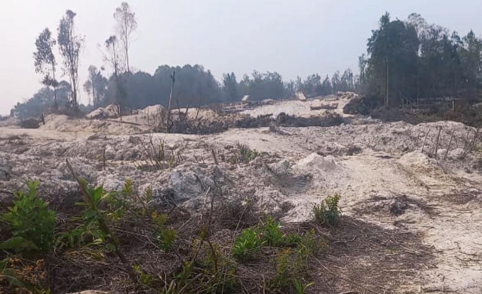 Solar Subsidi Diduga Mengalir ke PETI Sejotang Tayan Hilir, Kapolda Kalbar Diminta Bertindak