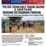 Dukung Ketahanan Pangan Nasional, Polsek Tayan Hulu Tanam Jagung Hibrida 2 Hektare di Desa Sosok
