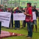 Petani Sawit Geruduk Kantor Bupati Sanggau Ini Tuntutannya Ke PT BKP